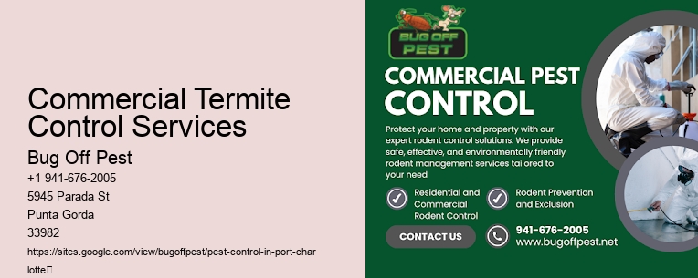 Commercial Termite Control Services