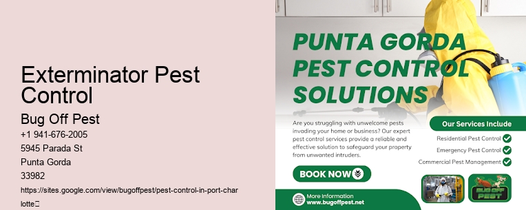 Exterminator Pest Control