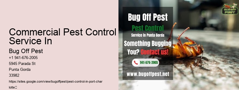 Commercial Pest Control Service In Port Charlotte