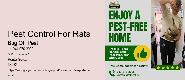 Pest Control For Rats