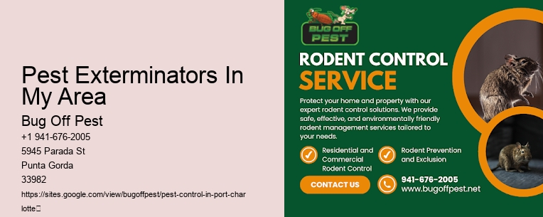 Pest Exterminators In My Area