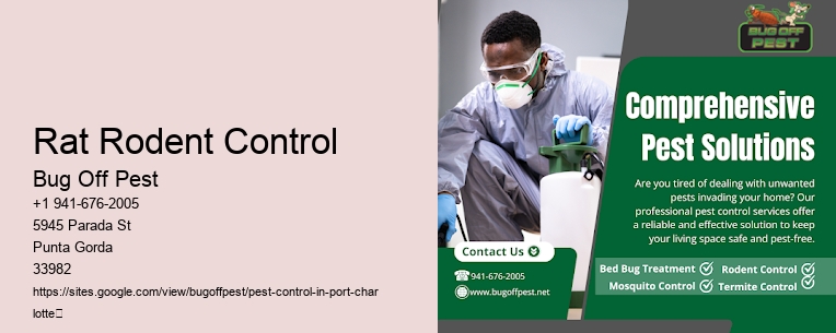 Rat Rodent Control