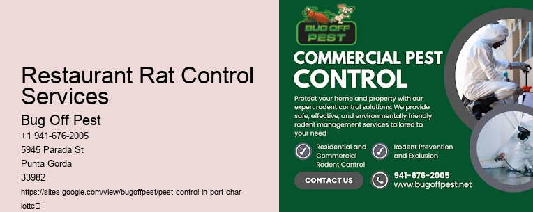 Restaurant Rat Control Services