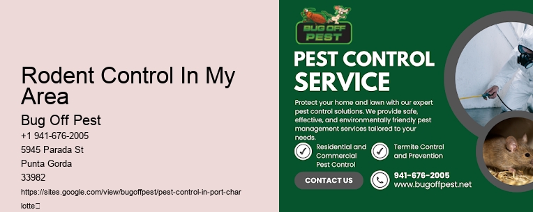 Rodent Control In My Area