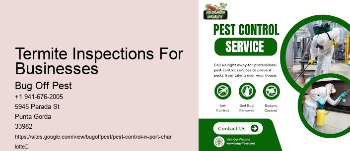 Termite Inspections For Businesses