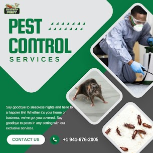 Termite-Free Properties in Commercial Termite Control in Punta Gorda