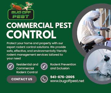 Residential Pest Solutions in Commercial Termite Control in Punta Gorda