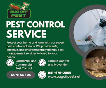 Fast Bee Removal Services in North Port