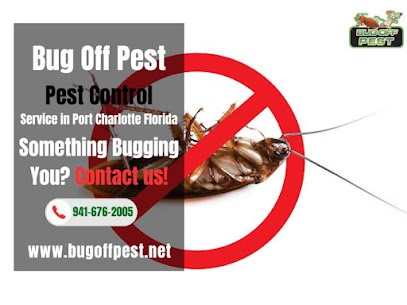 Effective Rodent Repellents in Local Termite Experts in Punta Gorda