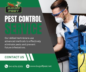 Non-Toxic Pest-Free Solutions in Florida