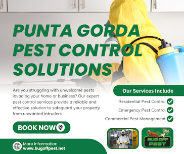 Monthly Pest Maintenance in Effective Bed Bug Solutions in North Port