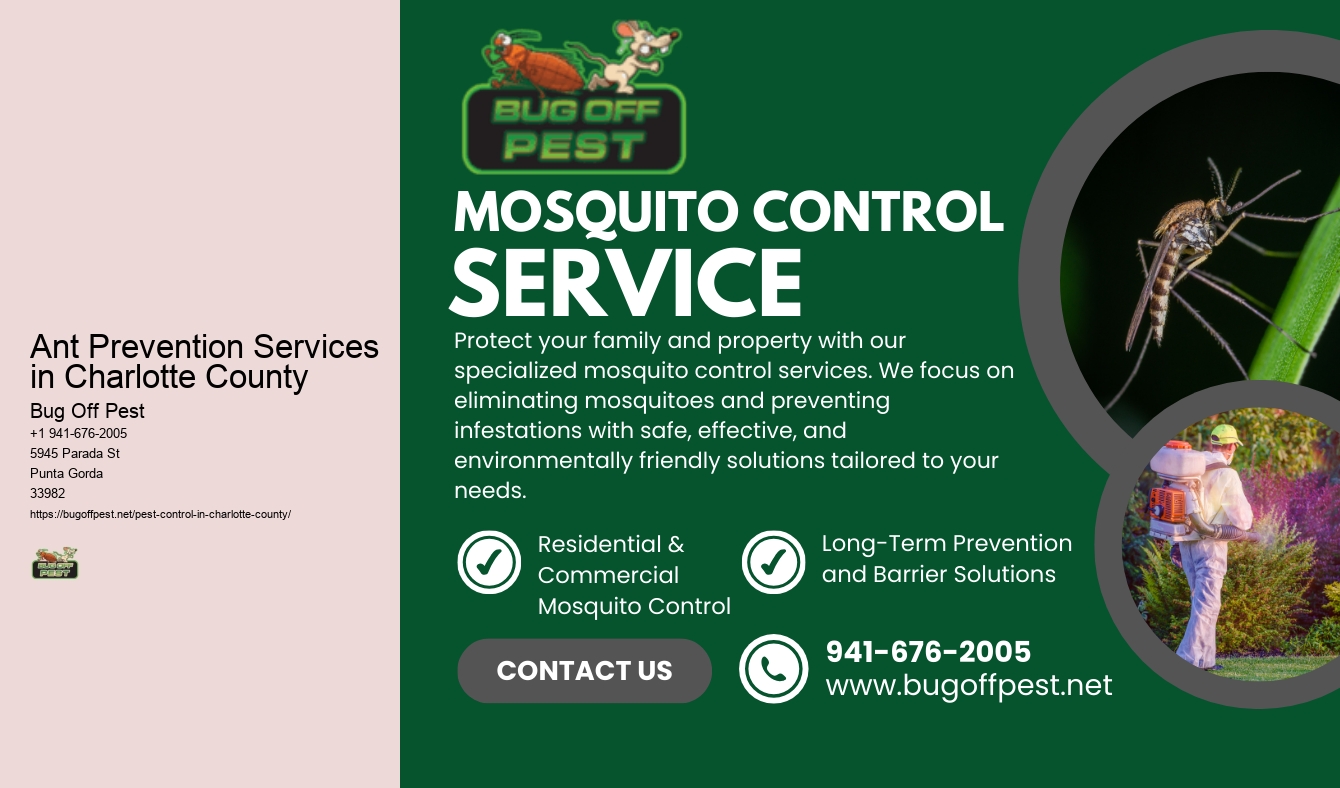 Ant Prevention Services in Charlotte County