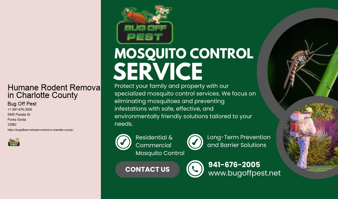Humane Rodent Removal in Charlotte County