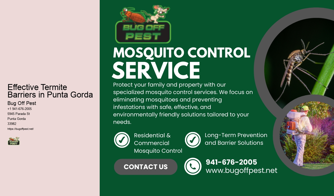 Effective Termite Barriers in Punta Gorda