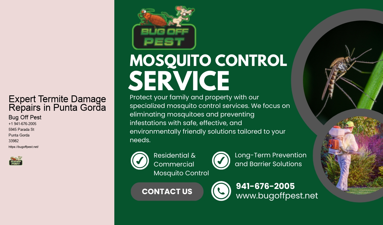 Expert Termite Damage Repairs in Punta Gorda