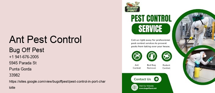 Ant Pest Control Port Charlotte