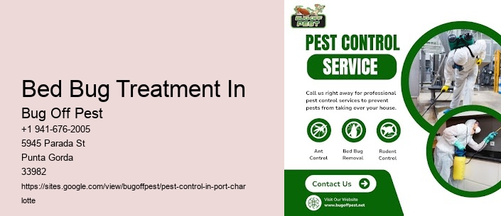 Bed Bug Treatment In Port Charlotte
