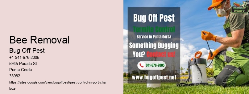 Bee Removal Port Charlotte