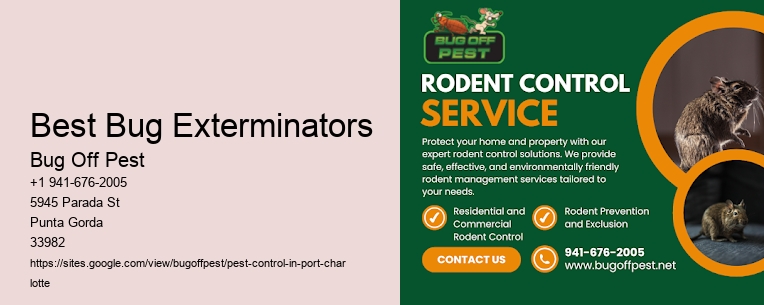 Best Bug Exterminators Port Charlotte