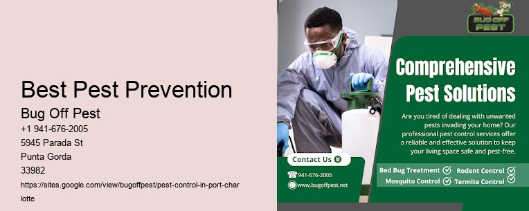 Best Pest Prevention Port Charlotte