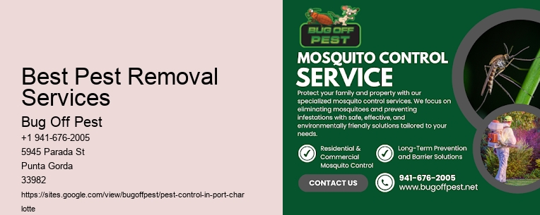 Best Pest Removal Services Port Charlotte