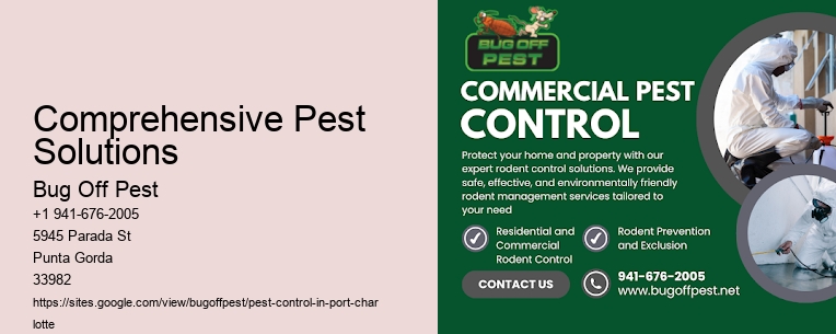 Comprehensive Pest Solutions Port Charlotte
