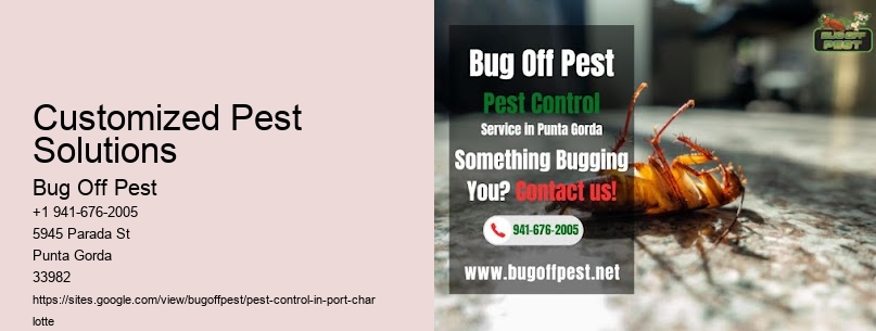 Customized Pest Solutions Port Charlotte