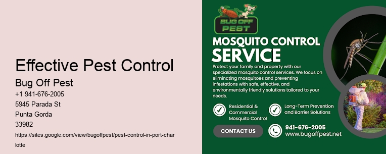 Effective Pest Control Port Charlotte
