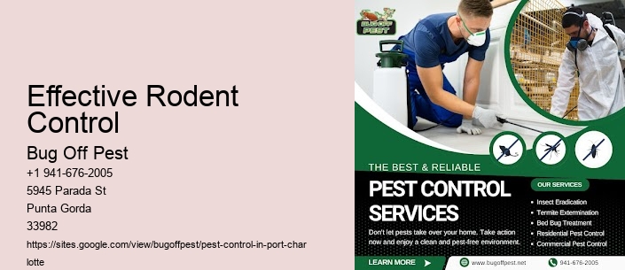 Effective Rodent Control Port Charlotte