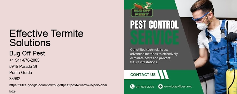 Effective Termite Solutions Port Charlotte