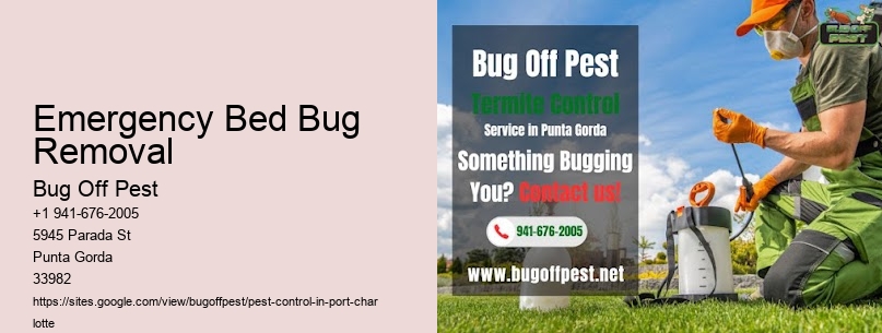 Emergency Bed Bug Removal Port Charlotte