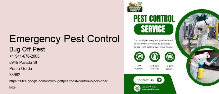 Emergency Pest Control Port Charlotte