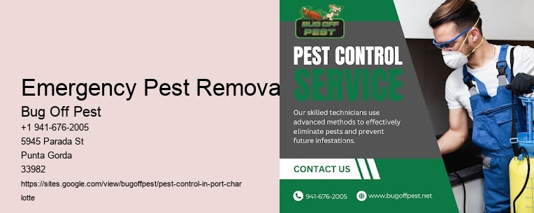Emergency Pest Removal Port Charlotte