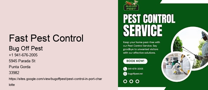 Fast Pest Control Port Charlotte