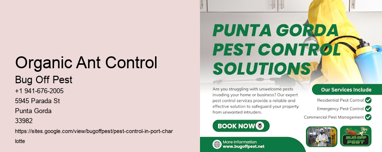 Organic Ant Control Port Charlotte