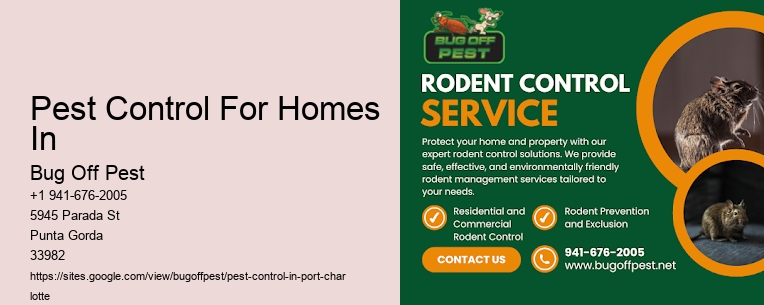 Pest Control For Homes In Port Charlotte