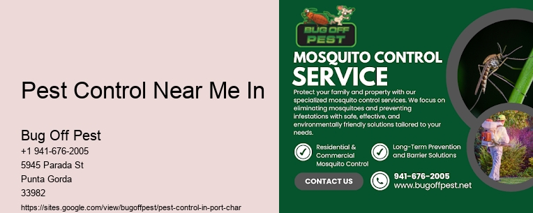 Pest Control Near Me In Port Charlotte