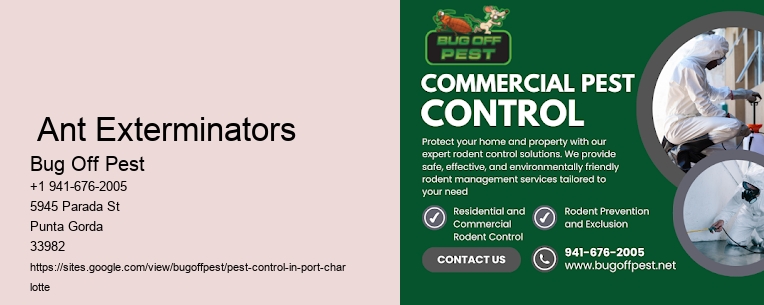 Port Charlotte Ant Exterminators