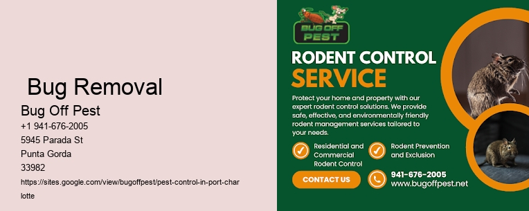 Port Charlotte Bug Removal
