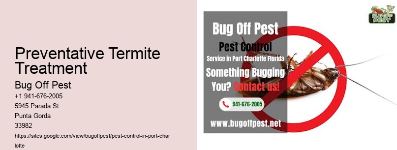Preventative Termite Treatment Port Charlotte