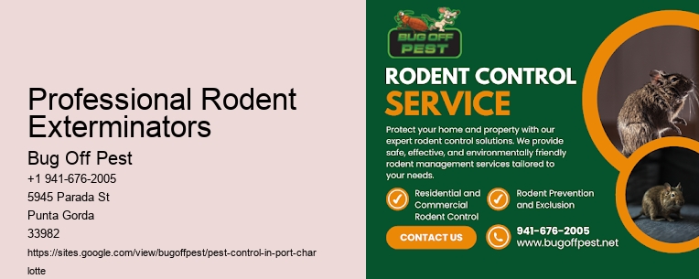 Professional Rodent Exterminators Port Charlotte