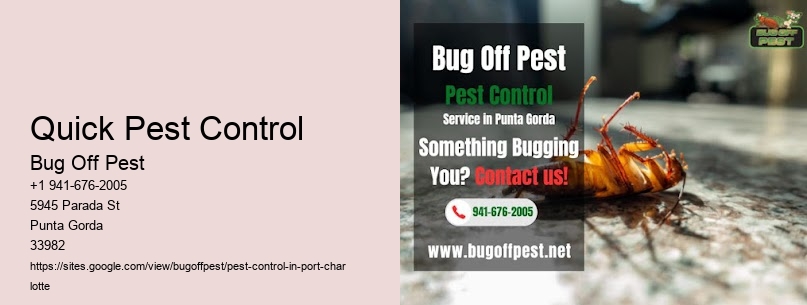 Quick Pest Control Port Charlotte