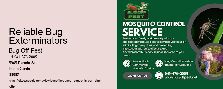 Reliable Bug Exterminators Port Charlotte