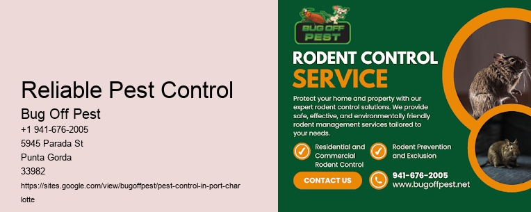 Reliable Pest Control Port Charlotte