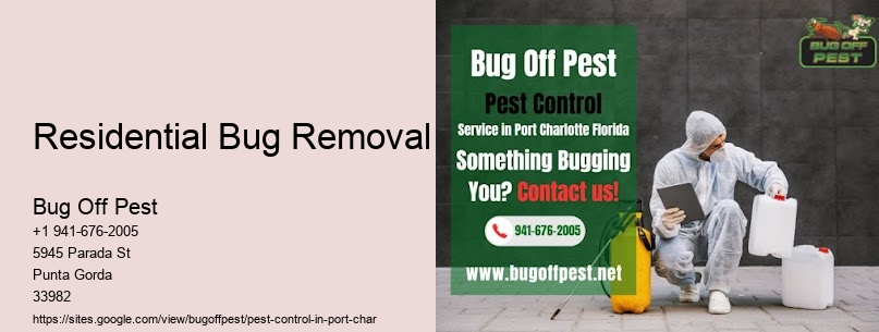 Residential Bug Removal Port Charlotte