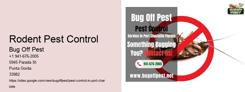 Rodent Pest Control Port Charlotte