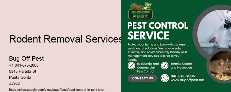 Rodent Removal Services Port Charlotte