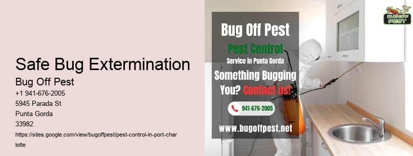 Safe Bug Extermination Port Charlotte