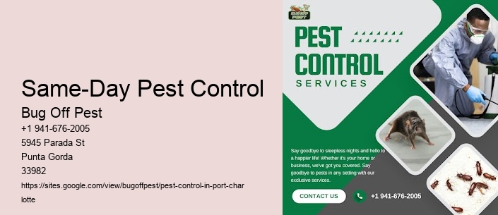 Same-Day Pest Control Port Charlotte