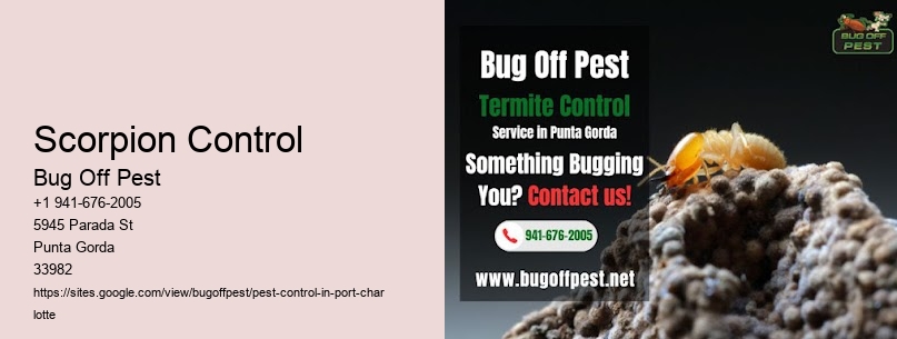 Scorpion Control Port Charlotte